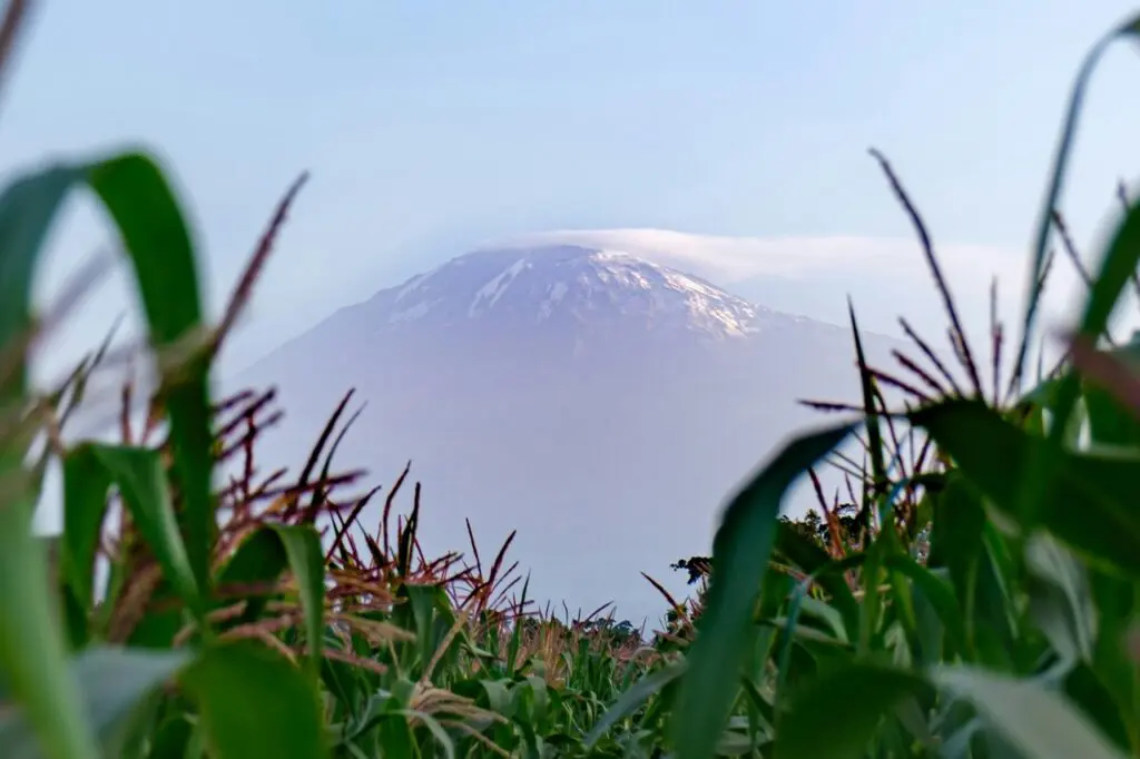The Kilimanjaro Trail - Moshi