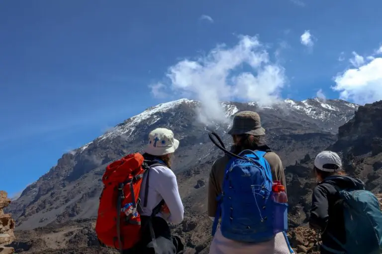 The Kilimanjaro Trail - Look up