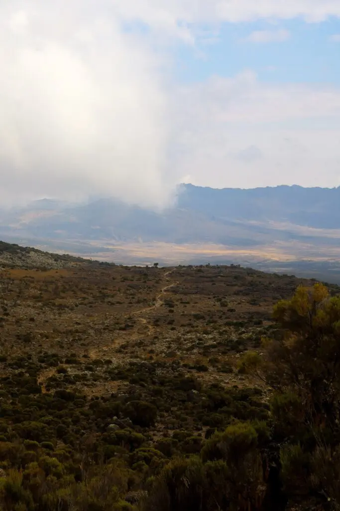 The Kilimanjaro Trail - Shira