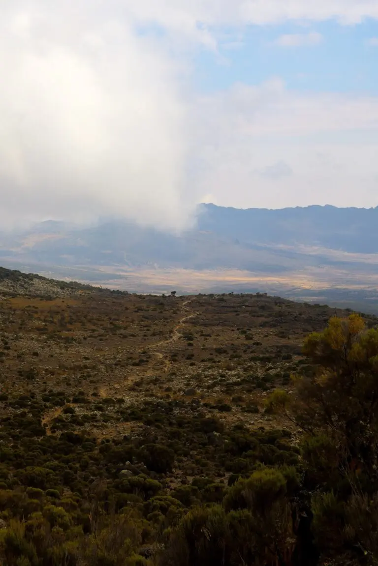 The Kilimanjaro Trail - Shira
